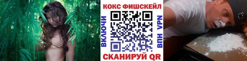 Кокаин 99%  Купить  Поронайск 