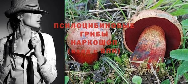 ПСИЛОЦИБИНОВЫЕ ГРИБЫ Богданович