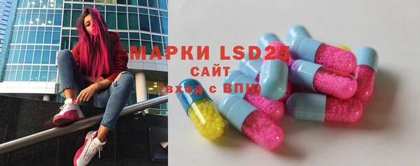 ПСИЛОЦИБИНОВЫЕ ГРИБЫ Богданович
