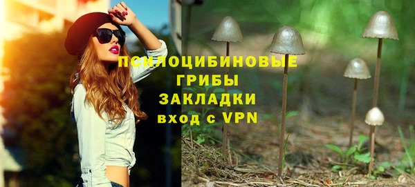 ПСИЛОЦИБИНОВЫЕ ГРИБЫ Богданович