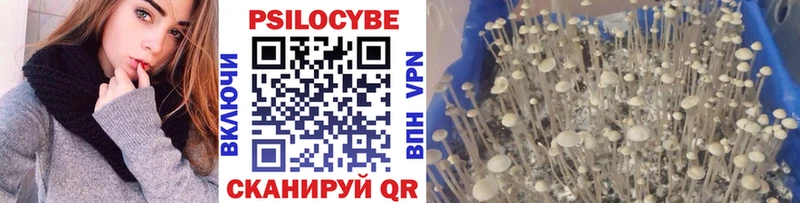 Купить где  Поронайск  Псилоцибиновые грибы Cubensis 